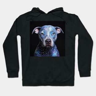 Shimmering Pitty Hoodie